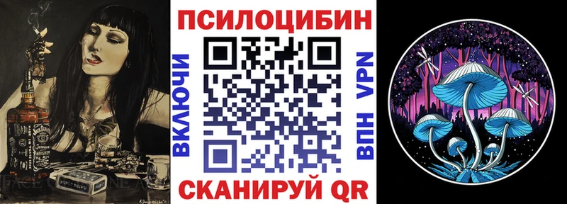 Купить  Новотитаровская  Галлюциногенные грибы прущие грибы 