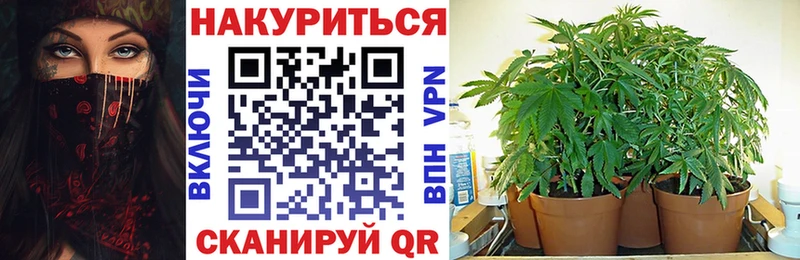 Купить  Новотитаровская  Бошки марихуана Amnesia 